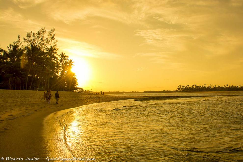 Imagem do sol se pondo atrás dos coqueiros na Praia da Boca da Barra.